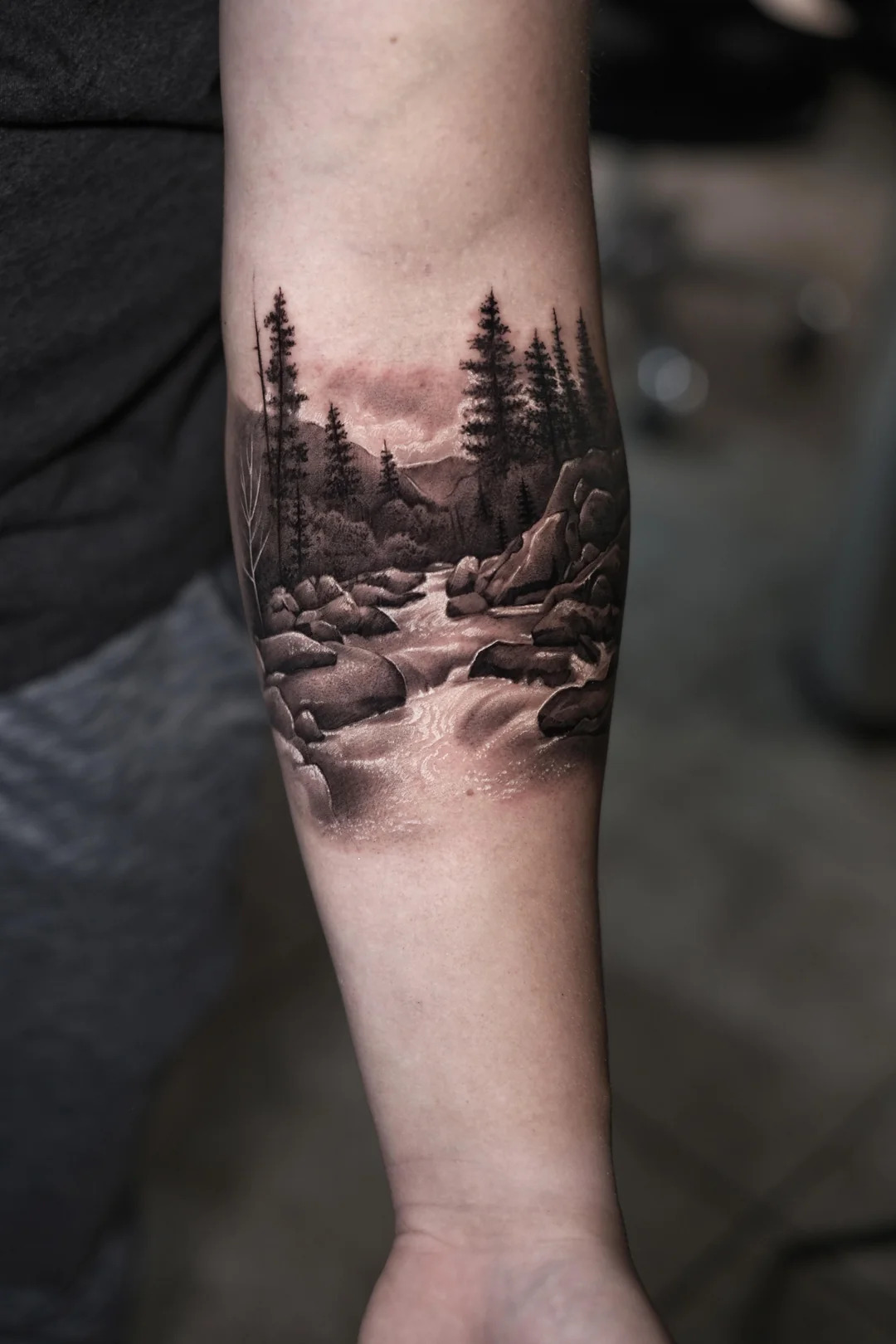Realistic Forest Landscape